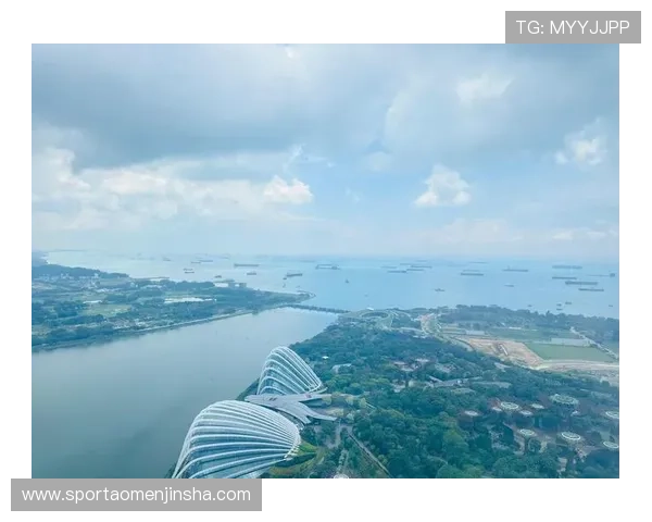 新加坡金沙官网安全保障措施解析，保障玩家资金与个人信息安全