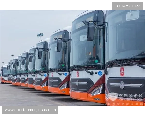 澳门金龙中国：投资澳门金龙相关产业的优势与风险评估及最新政策解读